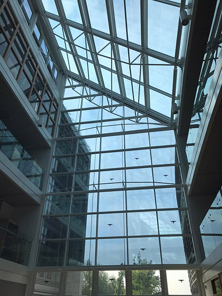 Wexford Government Buildings Window Film